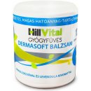 HillVital Dermasoft mast na ekzém 250 ml