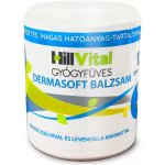 HillVital Dermasoft mast na ekzém 250 ml – Hledejceny.cz