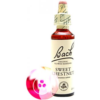 Bachovy květové esence Kaštan jedlý Sweet Chestnut 20 ml