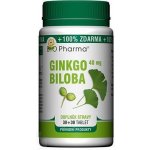 Kabco Ginkgo Biloba 40 mg 60 tablet – Zboží Mobilmania