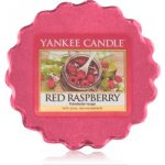 Yankee Candle vosk do aroma lampy Red Raspberry 22 g – Zbozi.Blesk.cz