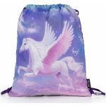 Karton P+P Pegas 8-50623 – Zboží Dáma