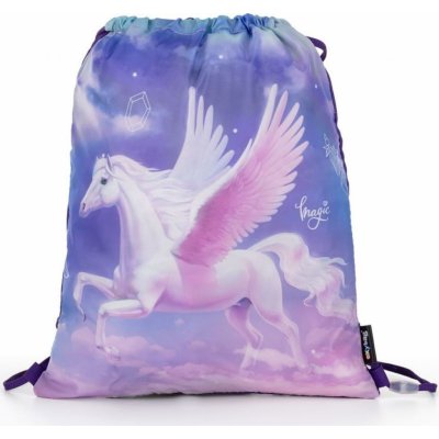 Karton P+P Pegas 8-50623 – Zboží Dáma