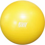 KUBIsport Gym Ball 65 cm – Zboží Dáma KUBIsport Gym Ball 65 cm – Zboží Dáma