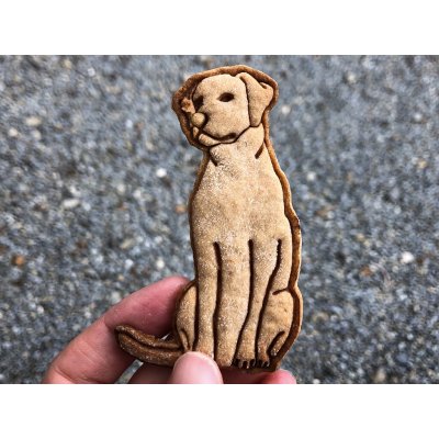 TVOŘÍTKO Labrador IV - vykrajovátko – Hledejceny.cz