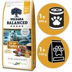 Velxara Balanced FM Dog Senior Monoprotein Turkey & Rice 12 kg – Hledejceny.cz