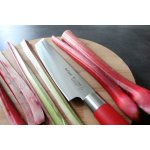 F.Dick Tanto ze série SPIRIT 21 cm – Zboží Mobilmania