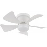 Globo 03609W – Zboží Dáma