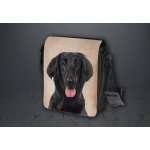 Sport hobby taška Flat coated retrívr T048 – Hledejceny.cz