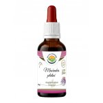 Salvia Paradise Mučenka pletní AF tinktura 50 ml – Hledejceny.cz