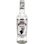Teq Cabrito Blanco 40% 0,7 l (holá láhev) – Zboží Dáma