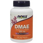 Now Foods DMAE 250 mg 100 kapslí – Hledejceny.cz
