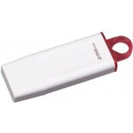 Kingston DataTraveler Exodia 256GB KC-U2G256-5R – Hledejceny.cz
