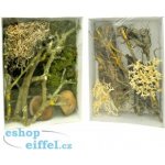 Lucky Reptile Deco Set Mantis – Zboží Dáma