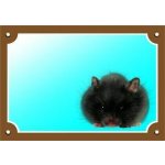 DAFIKO Barevná cedulka Pozor Křeček – Zboží Mobilmania