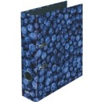 Herlitz pákový pořadač A4 8 cm BORŮVKY – Zboží Mobilmania