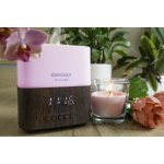 Concept DF2011 Aroma difuzér Perfect Air Dark wood 300 ml – Zboží Mobilmania
