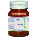 Joalis VeHerb VenaHelp 100 tablet – Hledejceny.cz