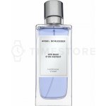 Angel Schlesser Les Eaux D'un Instant Luminous Violet toaletní voda dámská 100 ml – Hledejceny.cz