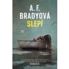 Kniha Slepí - F.A. Brady