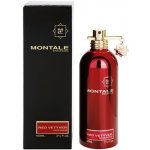 Montale Red Vetyver parfémovaná voda pánská 100 ml – Hledejceny.cz