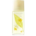 Elizabeth Arden Green Tea Honeysuckle toaletní voda dámská 100 ml – Hledejceny.cz