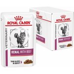 Royal Canin Veterinary Diet Cat Renal with Beef Feline 12 x 85 g – Hledejceny.cz