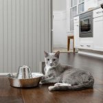 PetSafe Seaside fontánka 1,8 l – Hledejceny.cz
