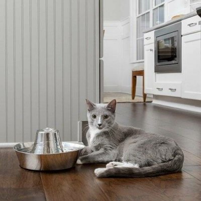 PetSafe Seaside fontánka 1,8 l – Hledejceny.cz