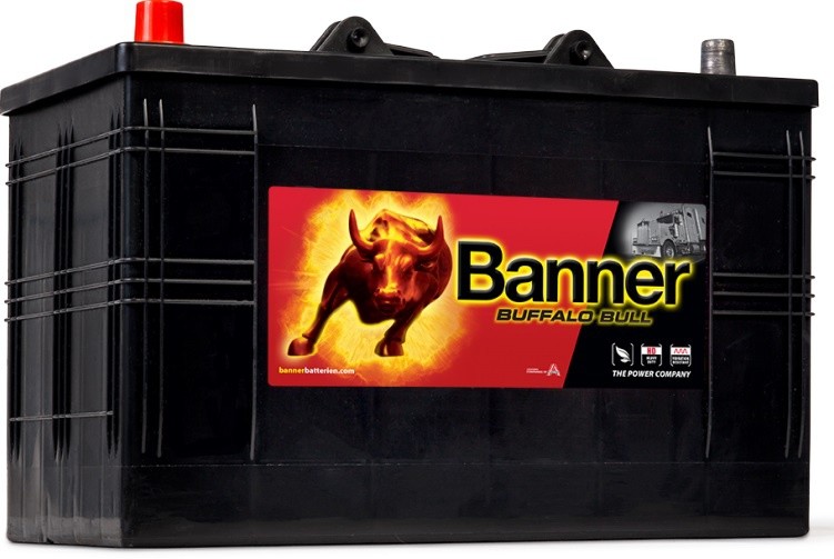 Banner Buffalo Bull 12V 110Ah 800A 610 48