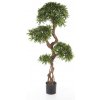 Květina Luxusní umělý strom PODOCARPUS KROUCENÝ KMEN, 160 cm
