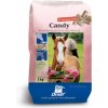 Krmivo a vitamíny pro koně Derby Pamlsky Candy 3 kg
