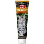 Perfecto Cat vitamínová pasta 100 g – Hledejceny.cz