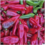 BIO Paprika Atris F1 - Capsicum annuum - prodej bio semen - 5 ks – Hledejceny.cz