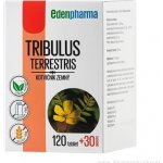 EDENPharma Tribulus Terrestris 120+30 tablet – Hledejceny.cz