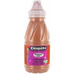 Cleopatre Akrylová barva 250 ml měděná – Hledejceny.cz