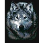 Škrabací obrázek stříbrný Vlk – Zboží Mobilmania