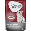 Kapsička pro kočky Concept for Life Adult Maine Coon ragú 12 x 85 g