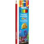 Ocean World RM_47003265 6 ks – Sleviste.cz