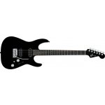 Charvel Pro-Mod Plus DK24 HH 2PT EB EBY RVEN – Hledejceny.cz