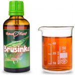 Bylinné kapky Gemmoterapie Brusinka pupeny tinktura z pupenů 50 ml – Hledejceny.cz