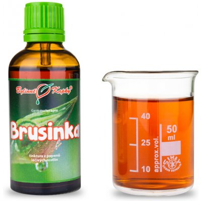 Bylinné kapky Gemmoterapie Brusinka pupeny tinktura z pupenů 50 ml – Hledejceny.cz