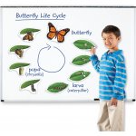 Learning Resources magnetický životní cyklus Motýl – Zboží Dáma