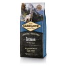 Carnilove Salmon for Adult Dogs 12 kg