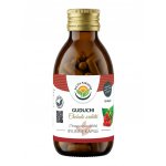 Salvia Paradise Guduchi Chebule srdčitá 120 kapslí – Hledejceny.cz