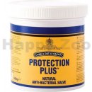 Péče o srst koní Carr Day Martin Protection plus 500g