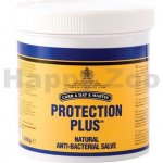 Carr Day Martin Protection plus 500g – Hledejceny.cz