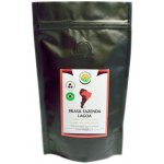 Salvia Paradise Brasil Fazenda Lagoa zrnková 250 g – Hledejceny.cz