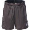 Pánské kraťasy a šortky EA7 Emporio Armani pánské kraťasy VENTUS7 shorts PL 3RPS03PJPCZ1997 šedá