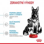 Royal Canin Starter Mother&Babydog Maxi 4 kg – Zboží Mobilmania